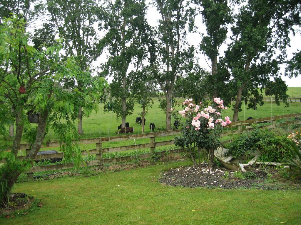 Miranda Orchard Cottage Εξωτερικό φωτογραφία